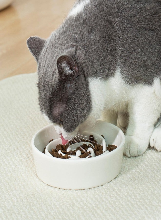 TRUVIC Ceramic Slow Feeder Dog Bowls Small Breed, 0.6 Cup Slow Feeder Cat Bowls for Fast Eaters, Ceramic Dog Food Dish no Black Chin, Puzzle Bowl for Small Dogs and Cats, White - Image 2